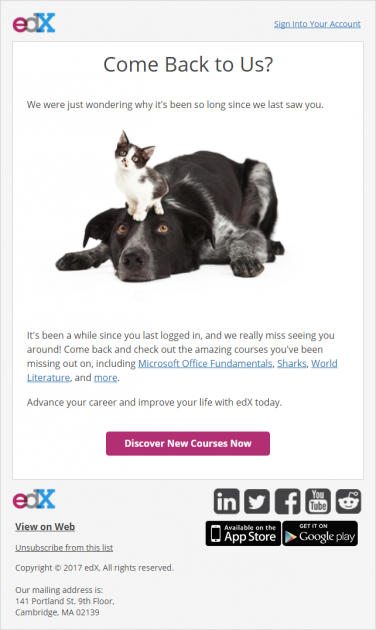 edEx marketing team email