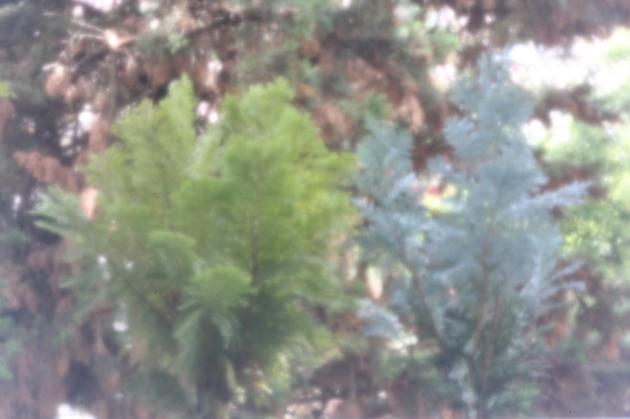 Digital Pinhole Test